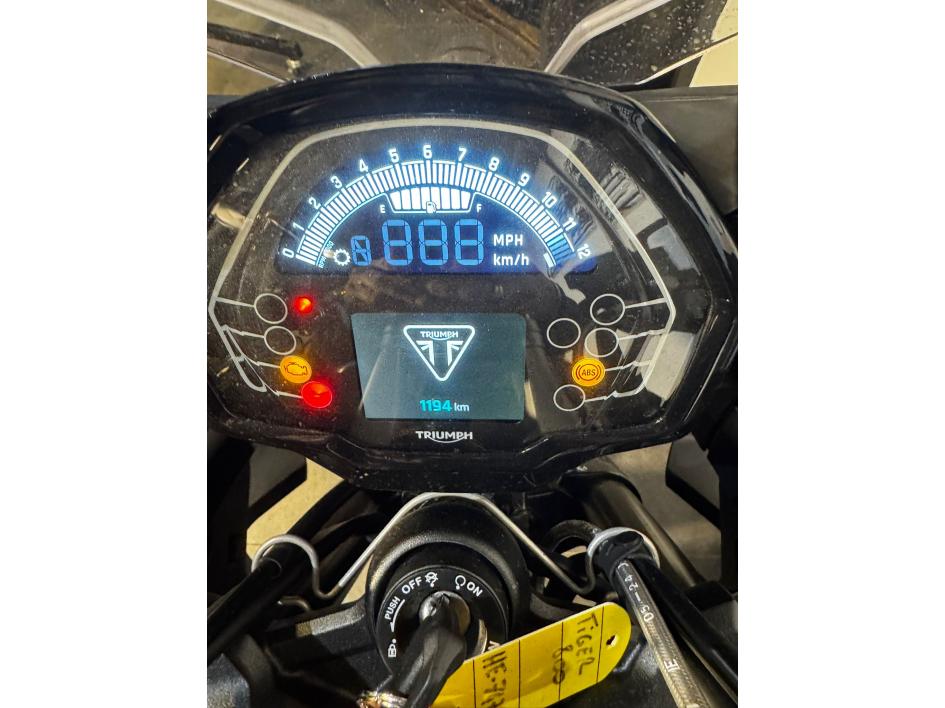 TRIUMPH TIGER 800